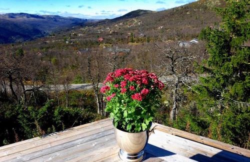 Nore og Uvdal Villa | Mountain villa with amazing view of Hardangervidda!