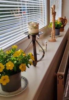 Vysne Ruzbachy Apartment | Mountain Village Apartment Pinewood *