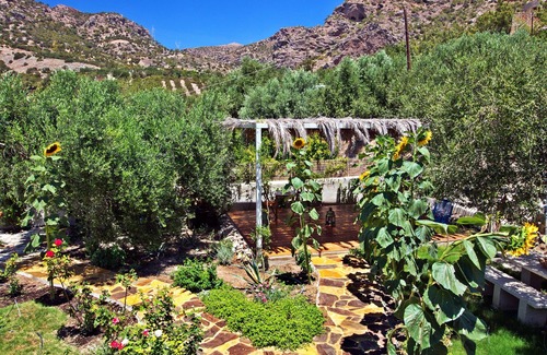 Makry Gialos Cottage | "Mpakses" 300 years old cottage "Natura cottages" with sea view shared garden