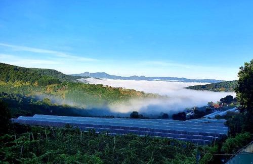 Da Lat House | Mr.Khanh Coffee