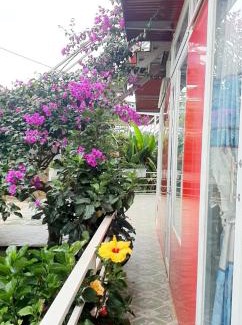 Da Lat House | Mr.Khanh Coffee