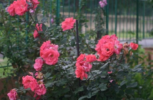 Pietermaritzburg Apartment | MS Self-Catering