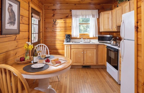 Candler Cabin | Mt Mitchell Cabin Romantic Mountain Escape near Asheville with Stunning Views!
