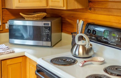 Candler Cabin | Mt Mitchell Cabin Romantic Mountain Escape near Asheville with Stunning Views!