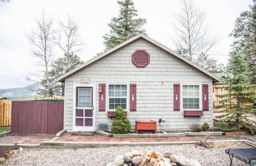 Estes Park House | Mt Olympus Cabin, Cozy 1 bedroom cabin Great for couples
