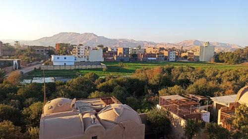 Luxor Apartment | Muhammad Ali House