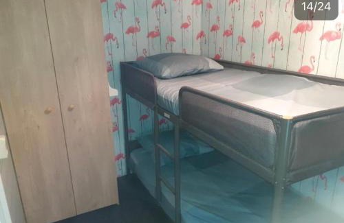 Schoonloo Other | Mulder's vakantiehuis, chalet 341