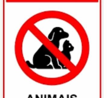 Porto de Galinhas Apartment | Muro Alto Condomínio Clube