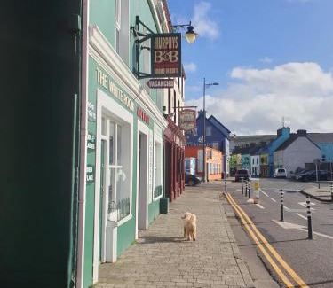 Dingle Bed & Breakfast | Murphy's Guesthouse