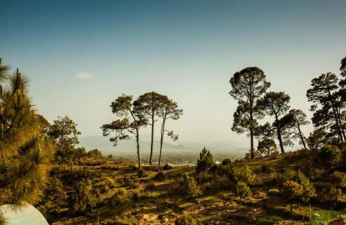 Palampur House | Musafir cottage