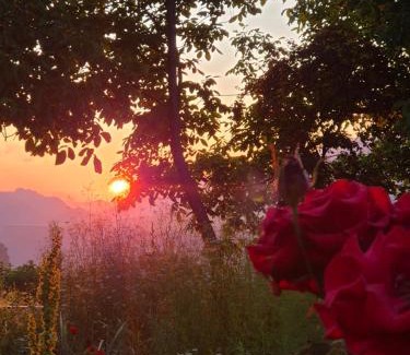 Sanahin Apartment | Mush Guest House in Sanahin