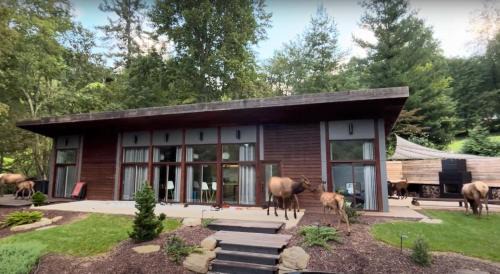 Cataloochee Ranch Villa | MV Haus, 3 Miles to Cataloochee Ski Area, Easy Access, No 4x4 needed