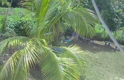 Negril Cabin | My Little Cabin In Negril by RedAwning