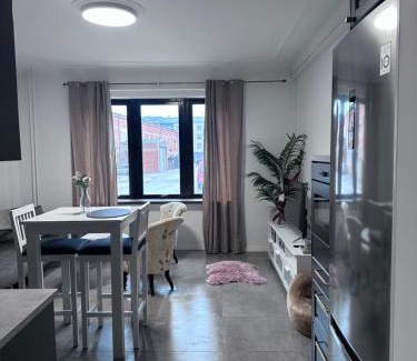 Innerstaden Apartment | Mysig lägenhet Malmö Centralt