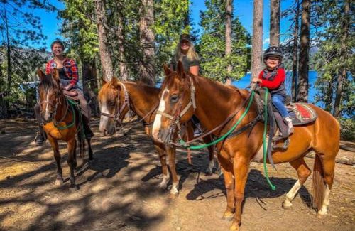 Sierra Cedars House | Mystic Meadow Sweet Cabin Meadow Views