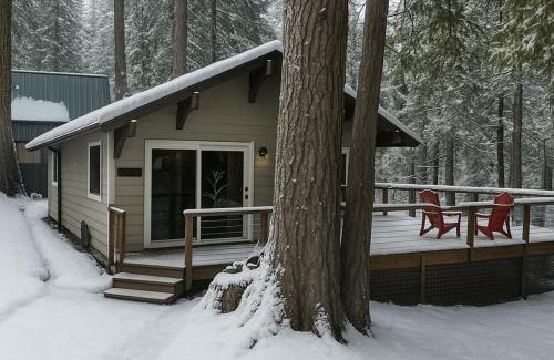 Sierra Cedars House | Mystic Meadow Sweet Cabin Meadow Views