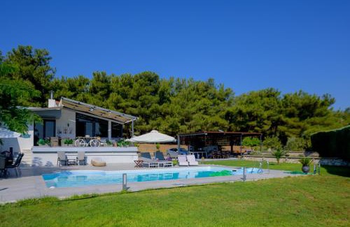 Neapoli Villa | Mytilini luxury pool VILLA AMIKA