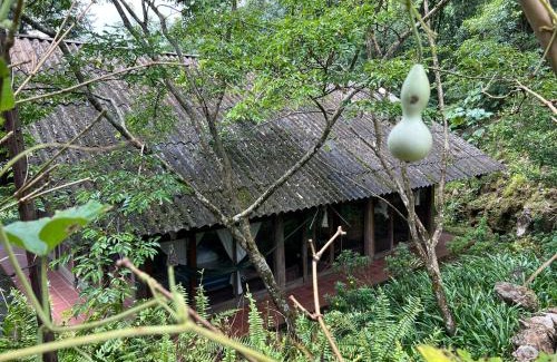 Nam Cang House | Nậm Cang Homestay