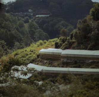 Da Lat House | Nắng Xinh Homestay