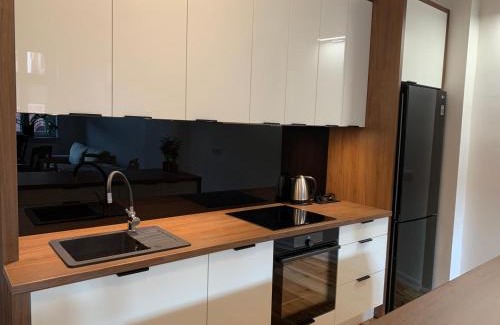 Tarnowskie Gory Apartment | Na skraju Rynku 110 m2