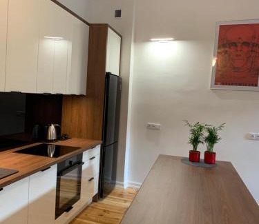 Tarnowskie Gory Apartment | Na skraju Rynku 110 m2