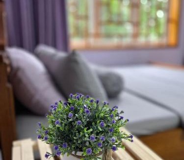 Yen Son Bed & Breakfast | Na Tuệ An-Homestay Số 3 Hoàng Văn Thái