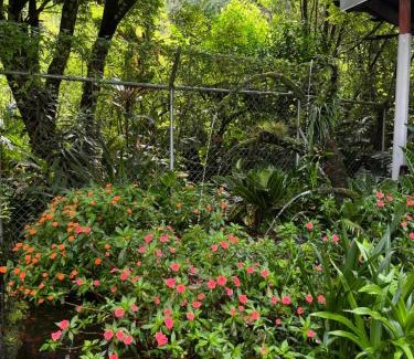 Pan de Azucar House | Nacientes Palmichal