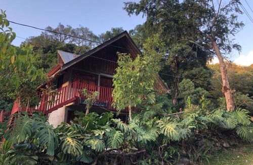 Pan de Azucar House | Nacientes Palmichal