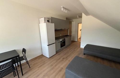 Wisla Apartment | Nad Żabką