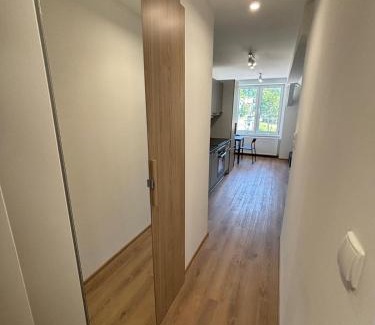 Wisla Apartment | Nad Żabką