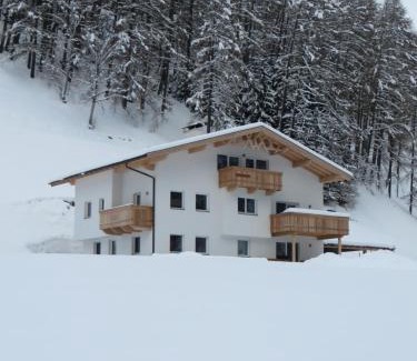 Navis House | Nagelehof Apartment Blaser