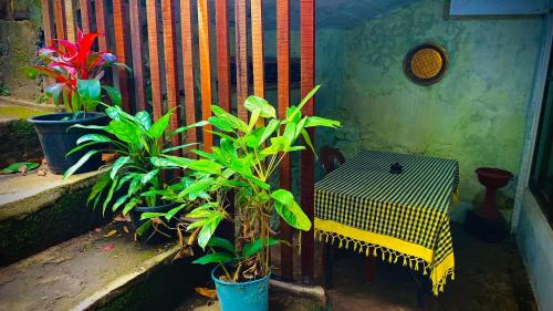 Hanguranketha House | Nalinda's Homestay