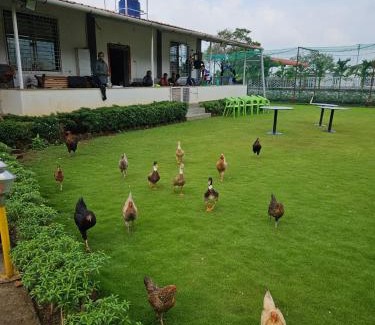 Khattalwada House | Nana's Farm and Resort