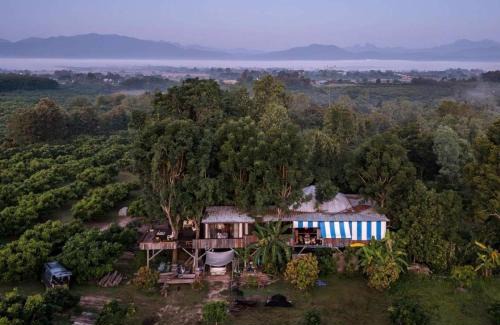 Phrao House | Napahong Treehouse นาป่าฮง