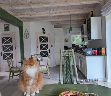 Pojezierce Villa | Narie pod kormoranem