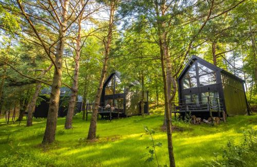 Frombork Apartment | Narusa Leśna Przystań