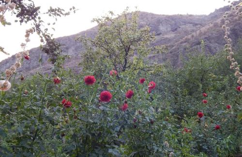 T'ba House | Nato Gesthouse in Uraveli