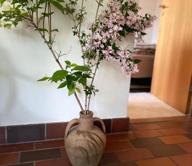 Tisvildeleje Bed & Breakfast | Nature-close guest room with garden - Private bath included