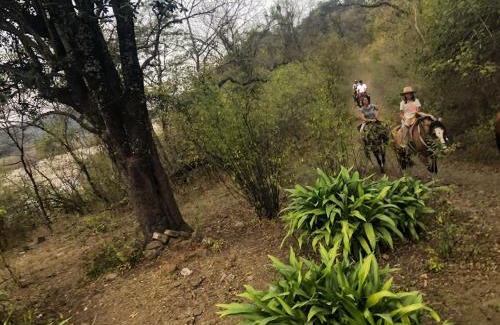 Vaqueros House | Nature, comfort, and authenticity in the Salta countryside