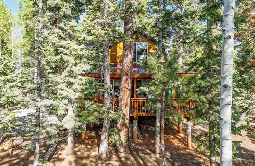 Meadow View Heights Cabin | Nature's Charm