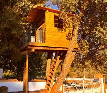 Castanheira de Pera Villa | Nature Tourism Quinta Nova