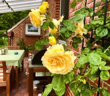 Schirum Apartment | Naturparadies in Aurich