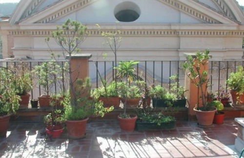 Rione VII Regola Apartment | Navona BEST location, prices, 440 guests reviews PREMIER HOST