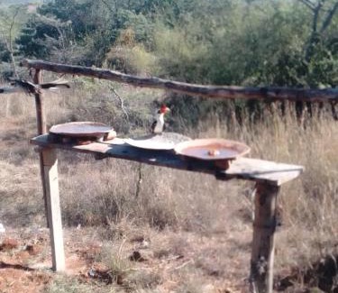 Nanyuki Other | Ndege Mingi Bush Camp - Laikipia