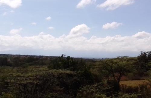 Nanyuki Other | Ndege Mingi Bush Camp - Laikipia