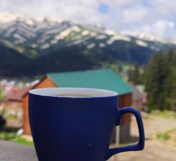 Bakhmaro Ski Chalet | Near the forest