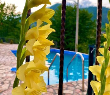 Konjic House | Neretva River Guesthouse