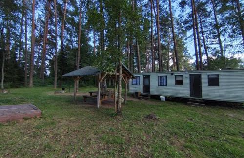 Utena county House | NeriPaulis