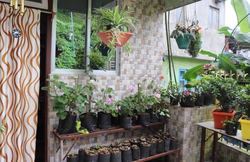 Darjeeling Apartment | Nestled in Tranquility Sparrow Nest Homestay in Heart of Darjeeling!