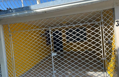 Patrick City Apartment | Netfa’s Cozy Gem, feel's like you are truly in Jamaica